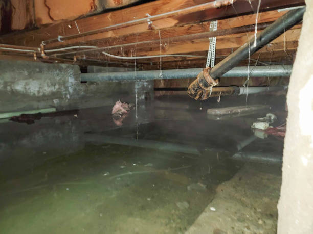 Professional Water damage restoration in Grove City, OH